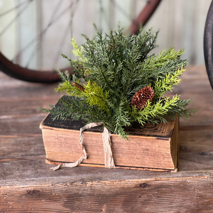 Prickly Pine Sphere - 9"