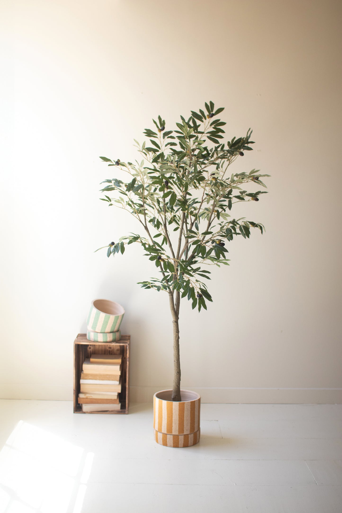 TallArtificialOliveTreeinaBlackPlasticPot-1 - Potted plant on a white surface with a neutral background