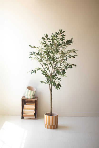 TallArtificialOliveTreeinaBlackPlasticPot-1 - Potted plant on a white surface with a neutral background