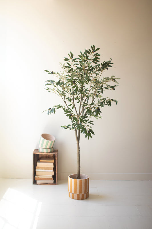 TallArtificialOliveTreeinaBlackPlasticPot-1 - Potted plant on a white surface with a neutral background