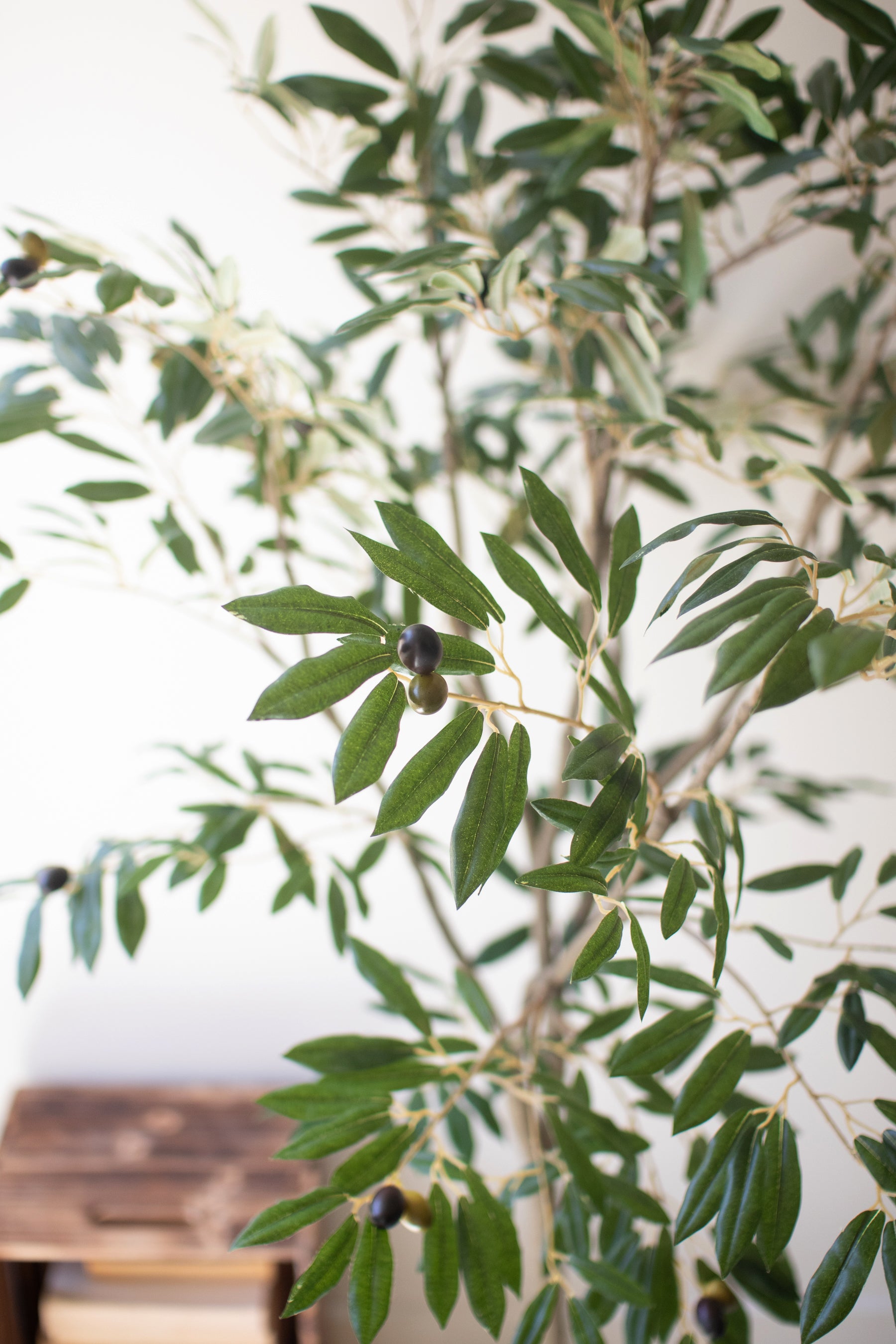 TallArtificialOliveTreeinaBlackPlasticPot-3 - Close-up of an olive tree branch with green leaves and small olives against a blurred background.