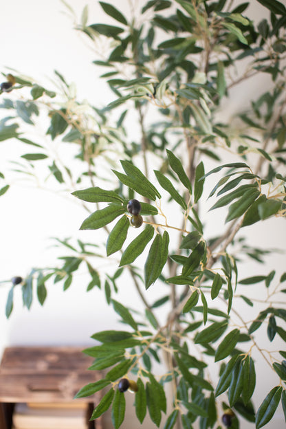 TallArtificialOliveTreeinaBlackPlasticPot-3 - Close-up of an olive tree branch with green leaves and small olives against a blurred background.