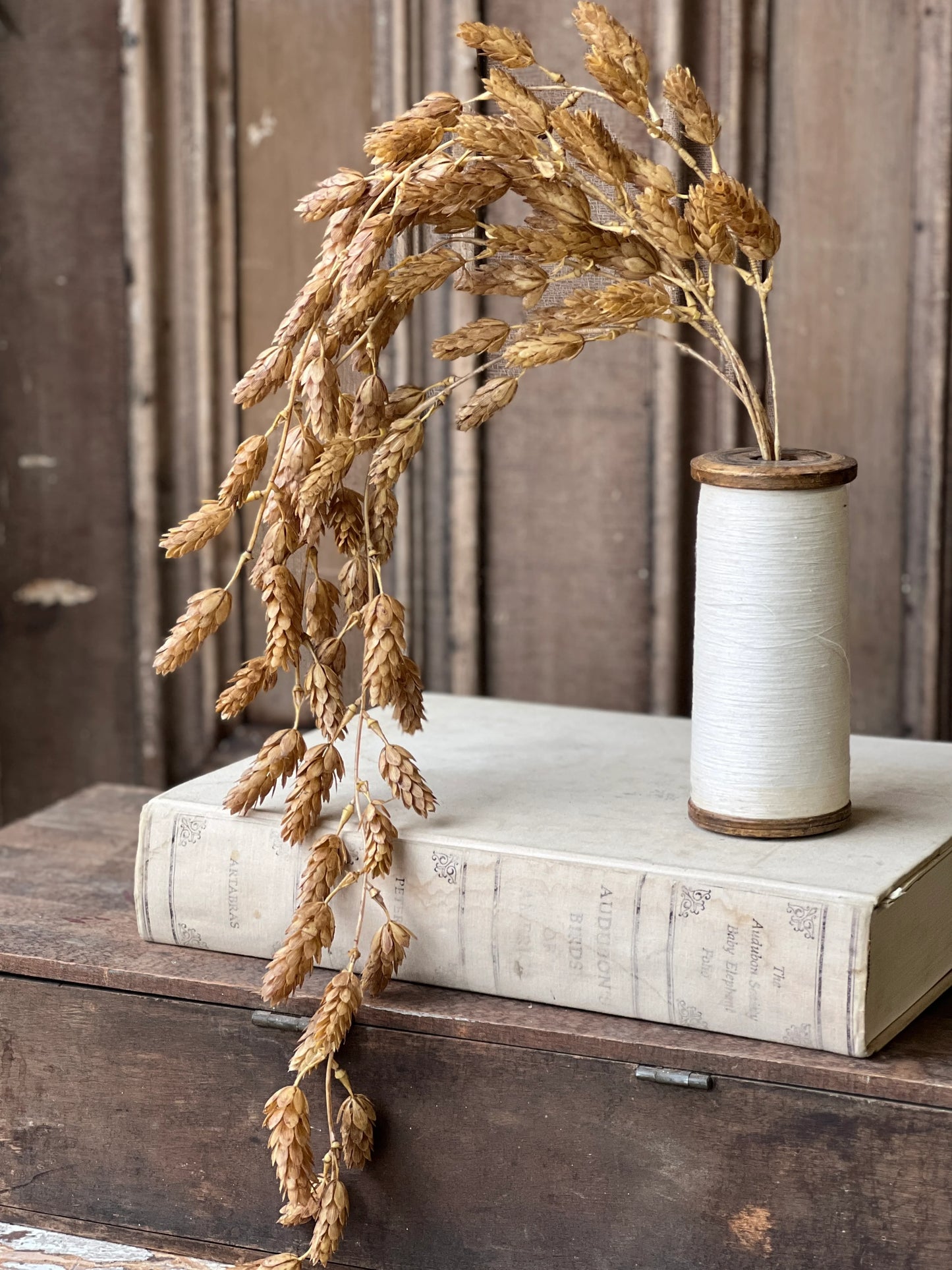 Beige Hanging Hops Fall Floral