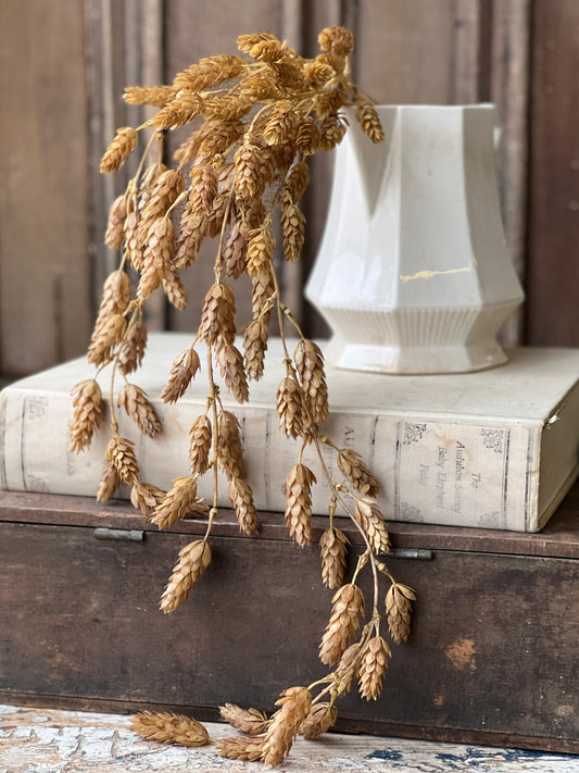 Beige Hanging Hops Fall Floral