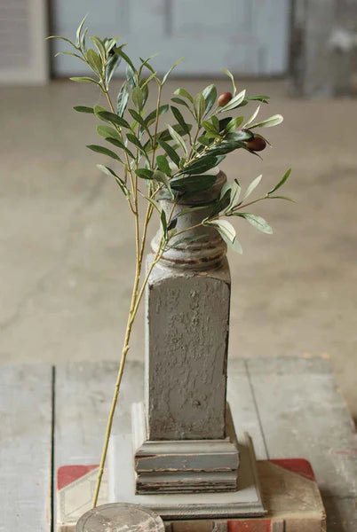 Olive Leaf Stem