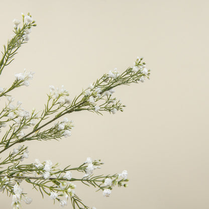 White Baby's Breath Spray