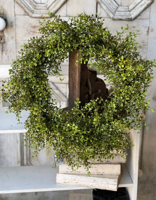Baby's Grass Wreath 20"