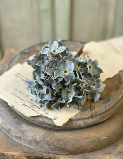 Blue Faded Hydrangea Stem