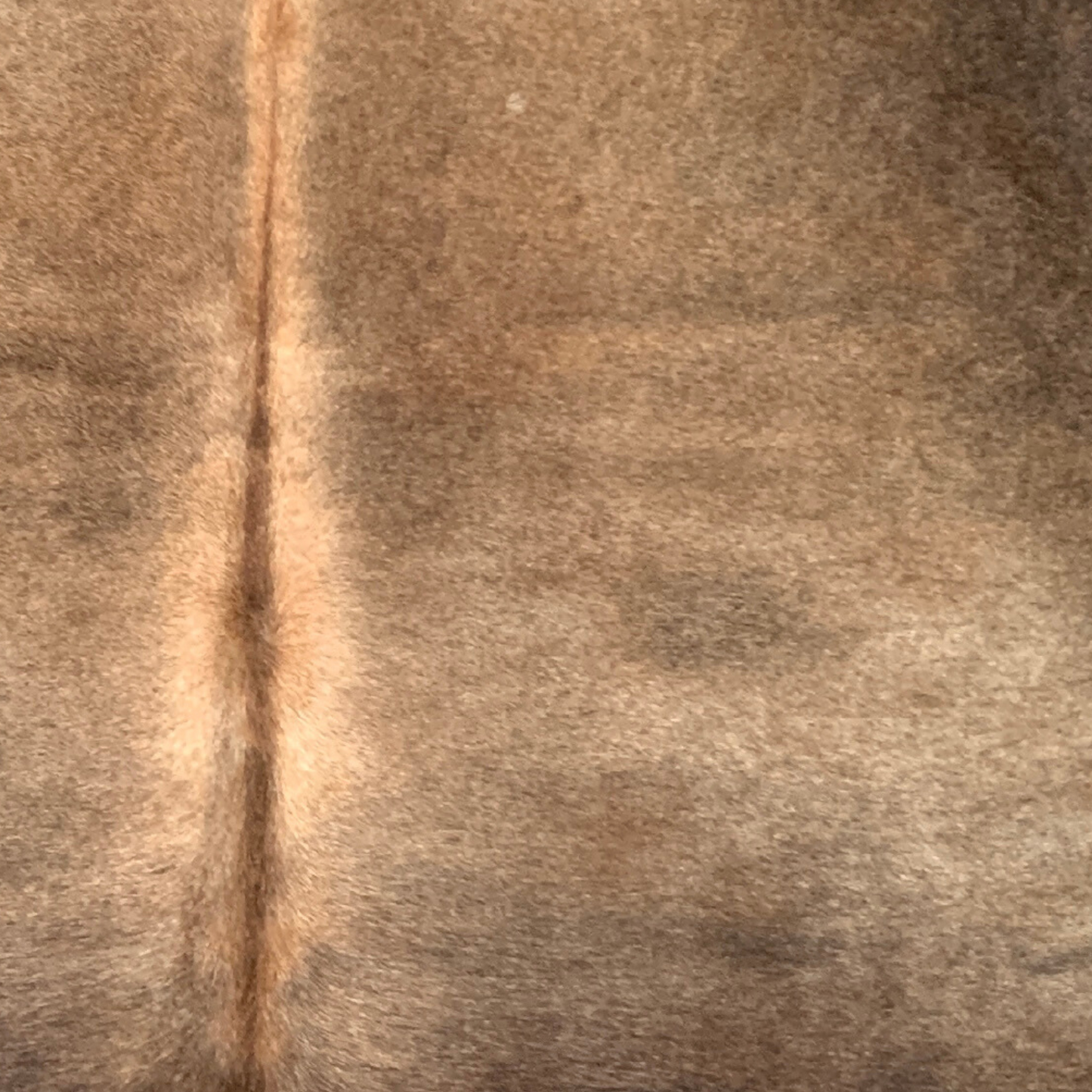 Close-up of brown cowhide rug