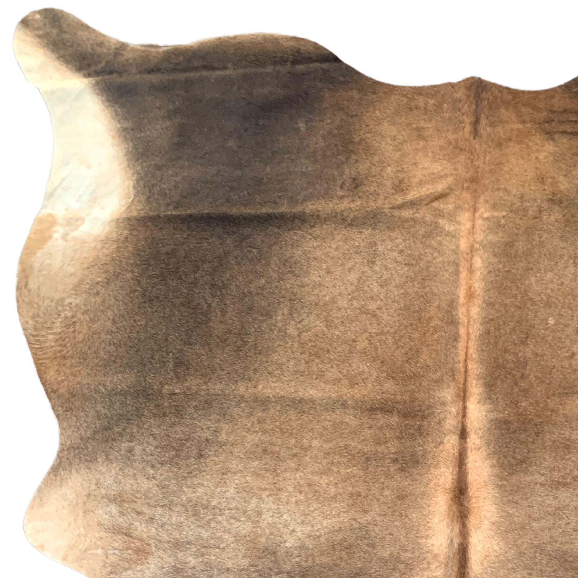 Close-up of a brown cowhide with visible grain and texture on a white background
