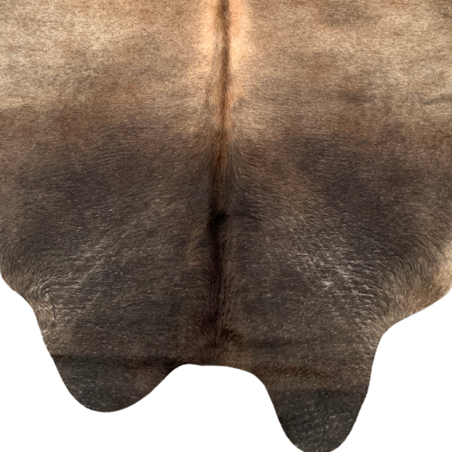 Close-up of a brown cowhide with markings on a white background
