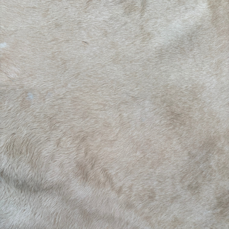 Close-up of beige fur texture