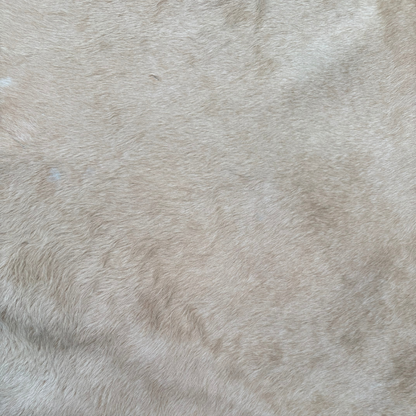 Close-up of beige fur texture