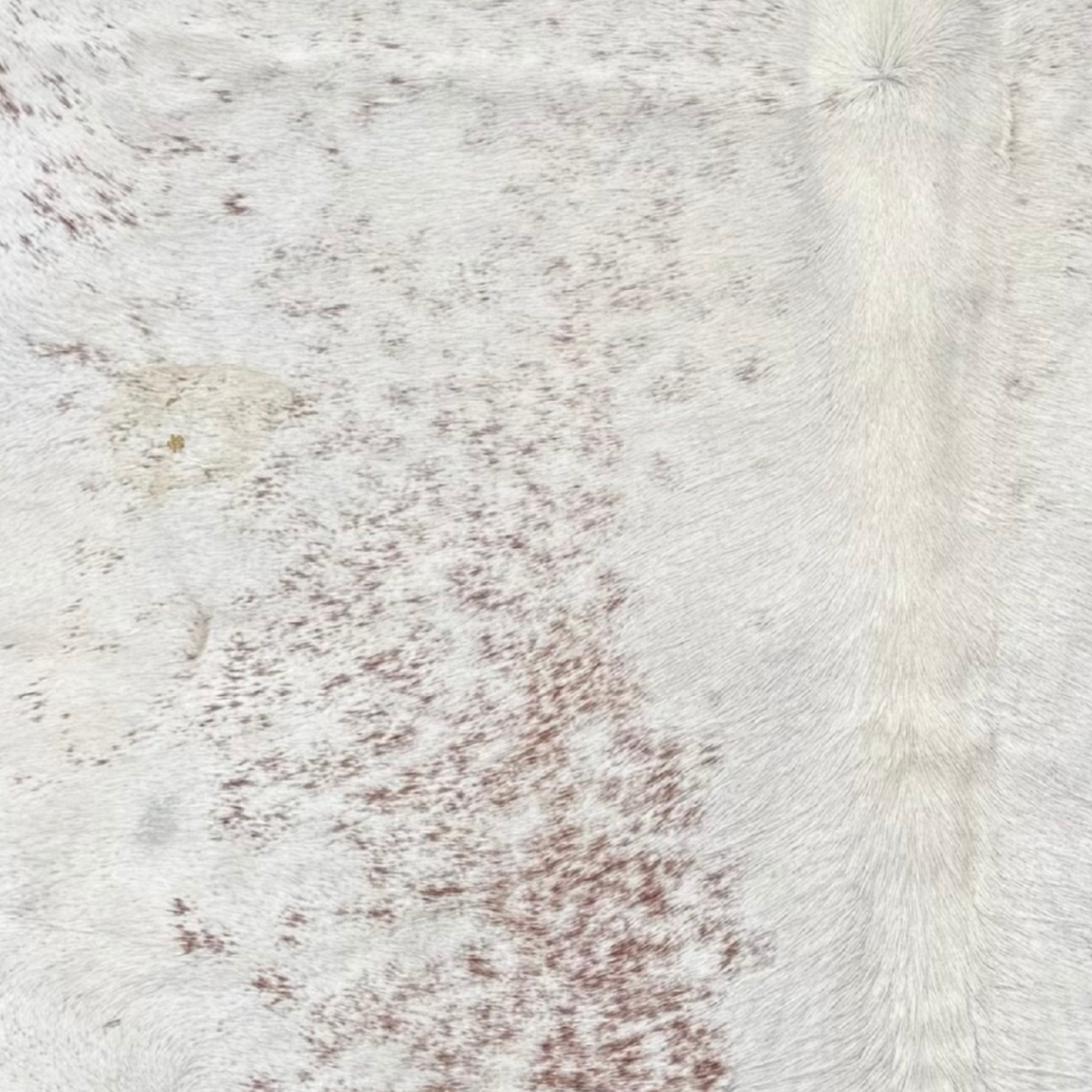 Close-up of a cowhide rug with brown specks
