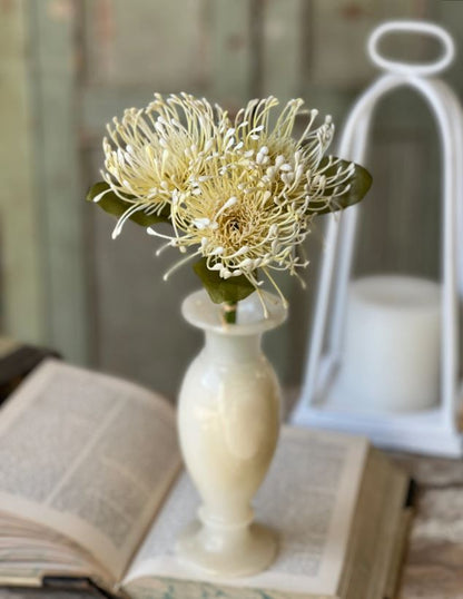 Cream Proteas Floral