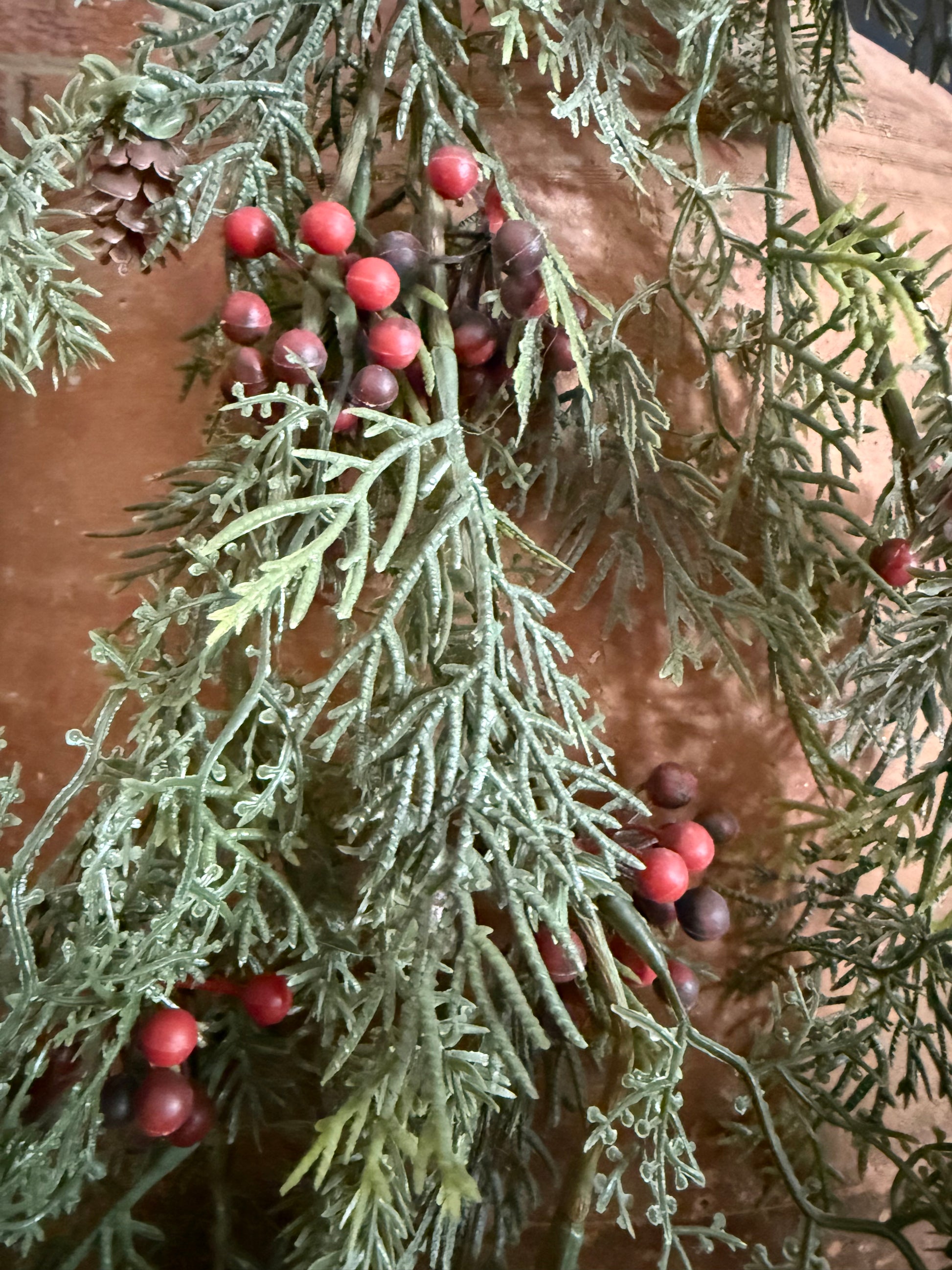 Green evergreen branch with red berries