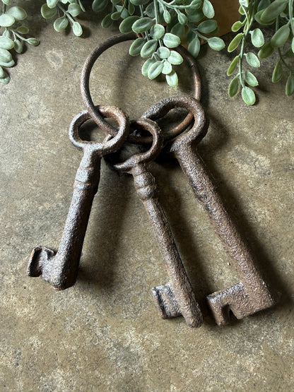decorative skeleton key set - brown