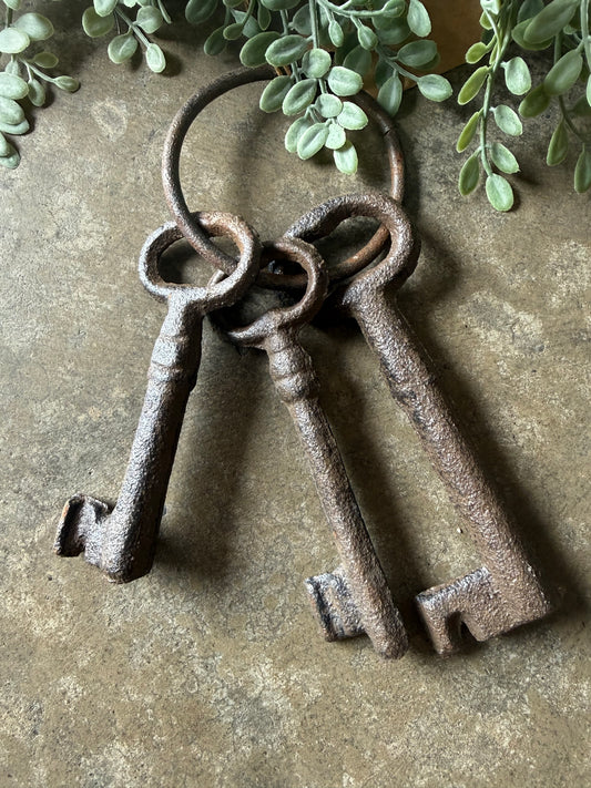 decorative skeleton key set - brown