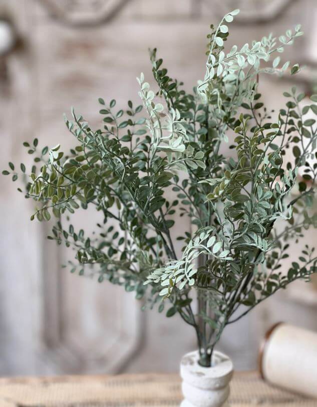 Dusty Green Leaves Greenery Bush