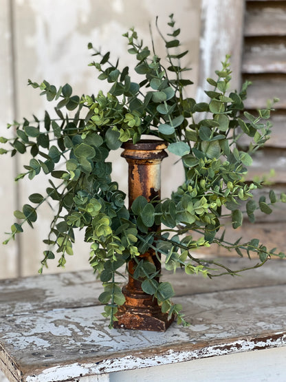 Woodglen Eucalyptus Candle Ring - 4.5"