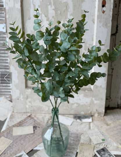 Nova Eucalyptus Spray 34"