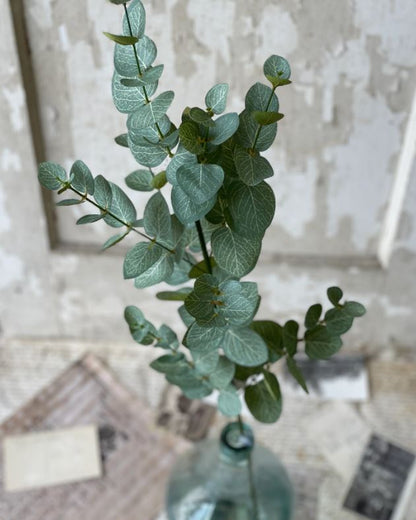 Nova Eucalyptus Spray 34"