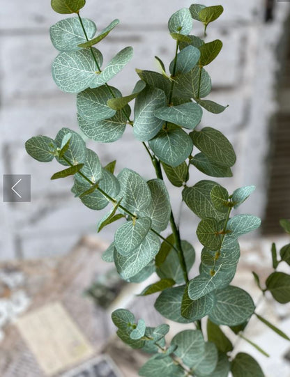 Nova Eucalyptus Spray 34"