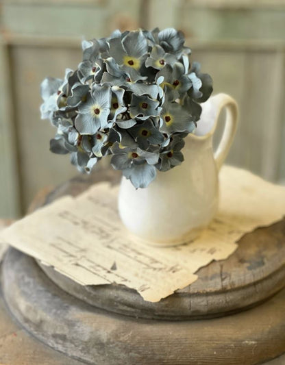 Blue Faded Hydrangea Stem