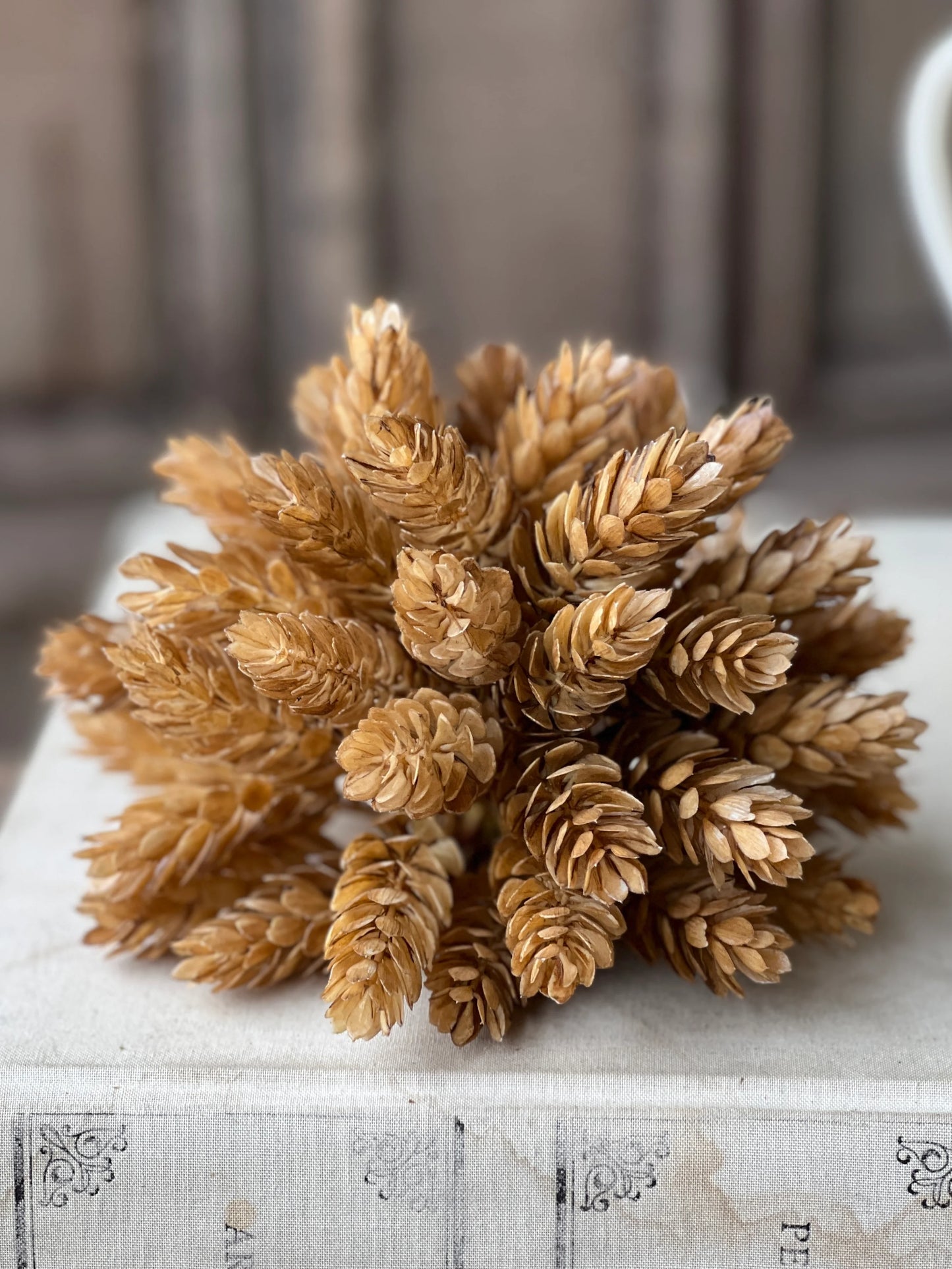 close up photo of fall floral - beige hops sphere
