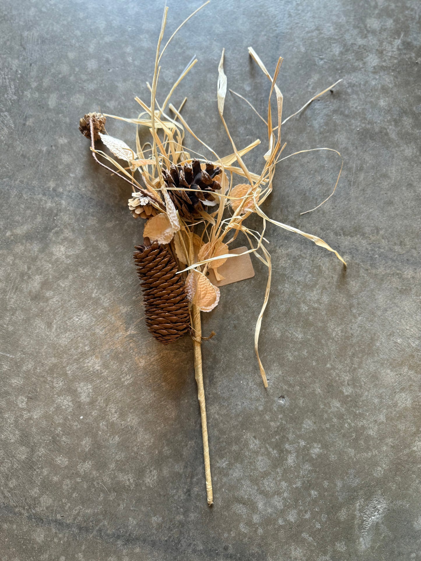 dried grass with pinecones 