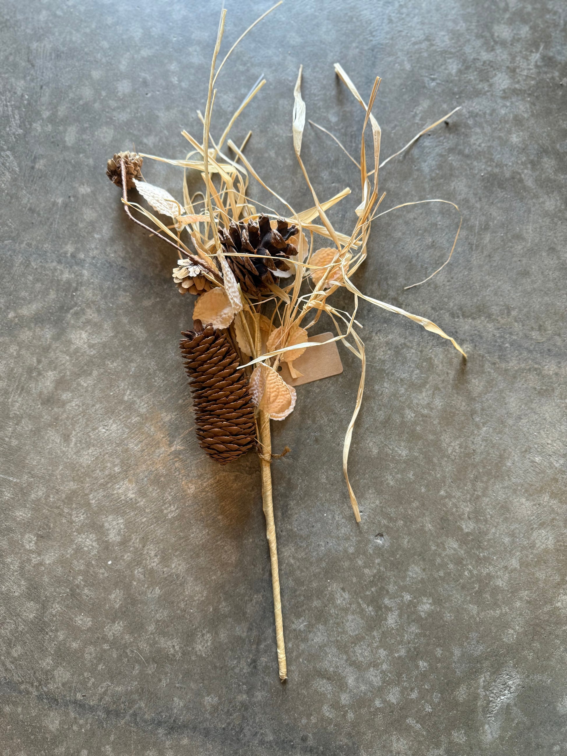 dried grass with pinecones 