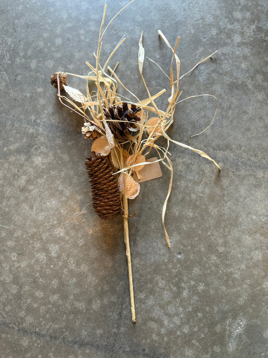 dried grass with pinecones 