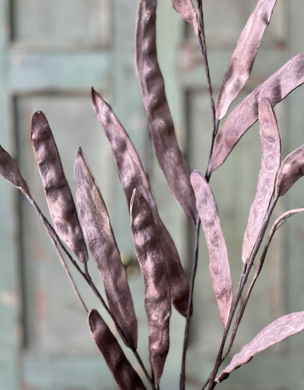 Chickory Pod Spray 28"