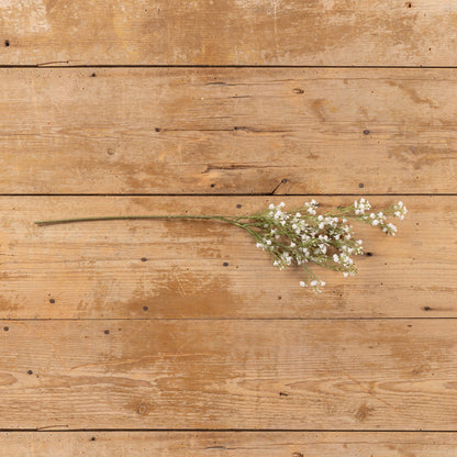 Bouquet of small white flowers on a wooden surface