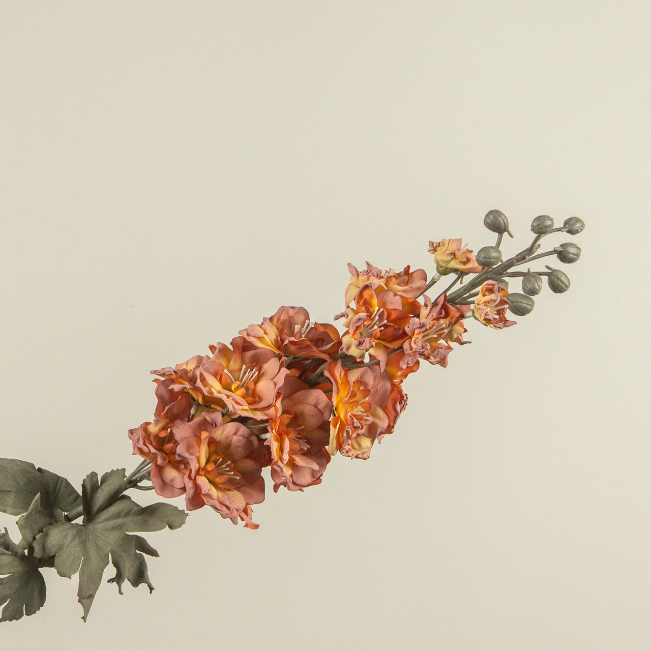dried larkspur orang and pink