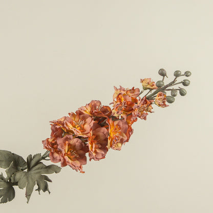 dried larkspur orang and pink