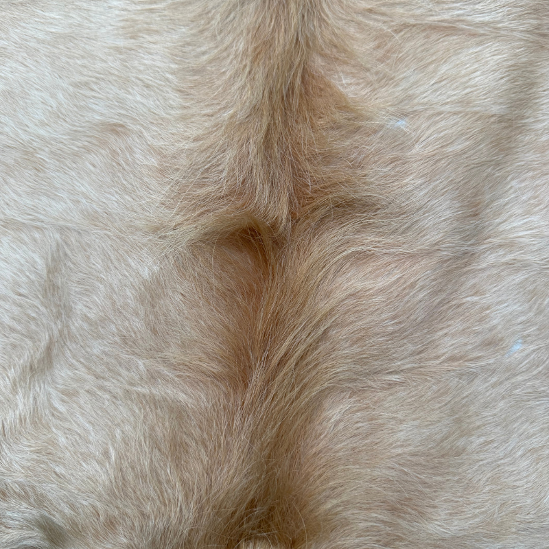 Close-up of light brown fur texture