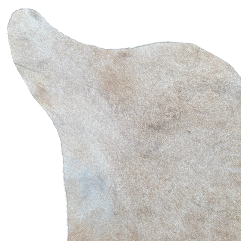 Close-up of a horse's tail on a white background