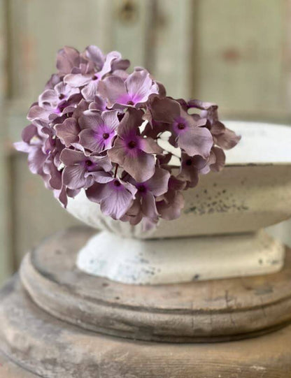 Lilac Faded Hydrangea Stem