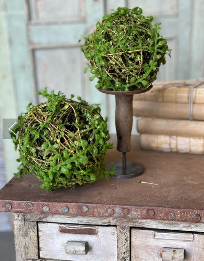 Moss Twined Vine Ball - 6"