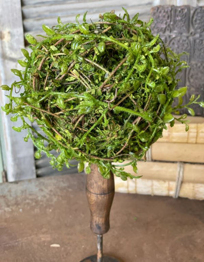 Moss Twined Vine Ball - 6"
