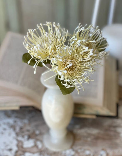 Cream Proteas Floral