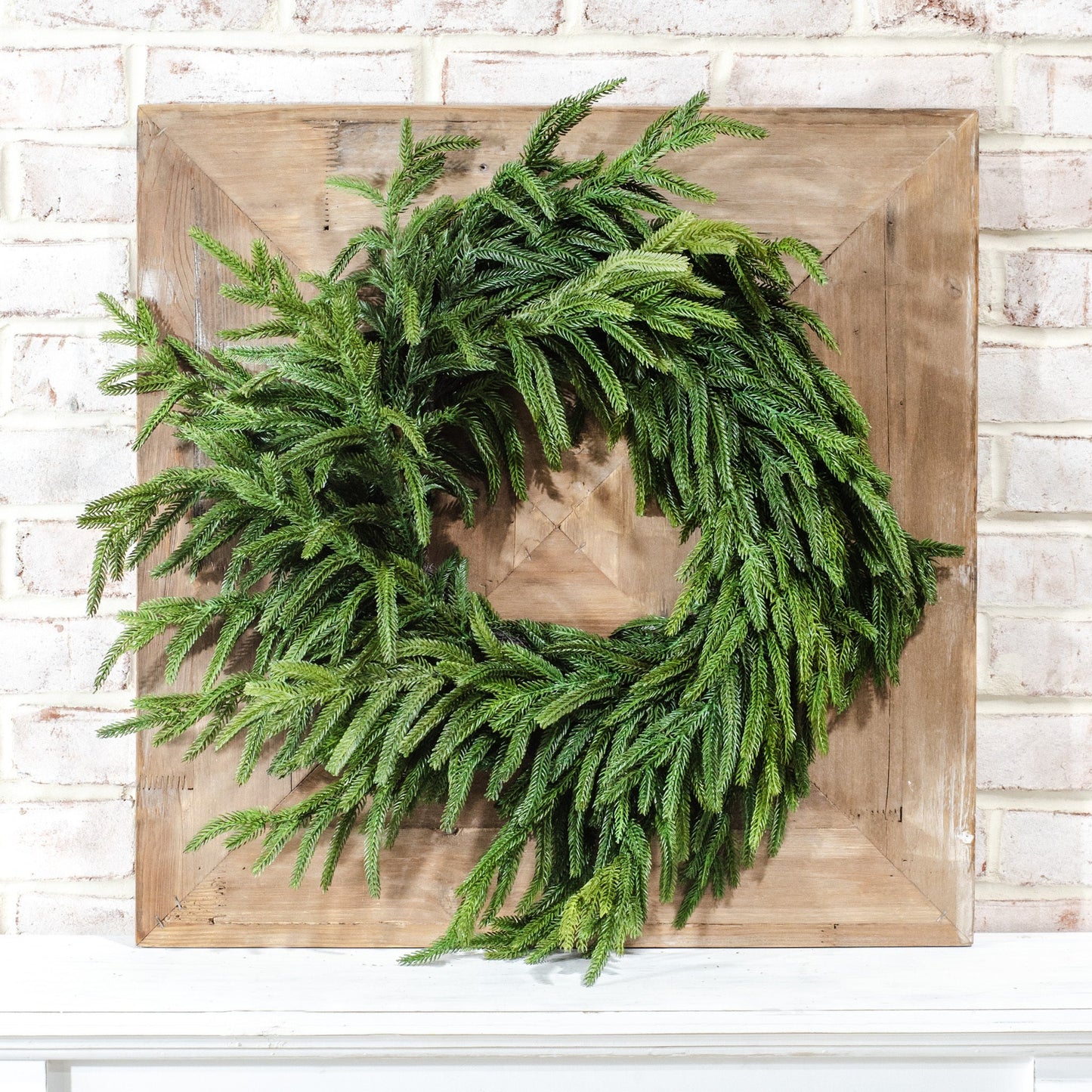 Norfolk Pine Evergreen Wreath 24”