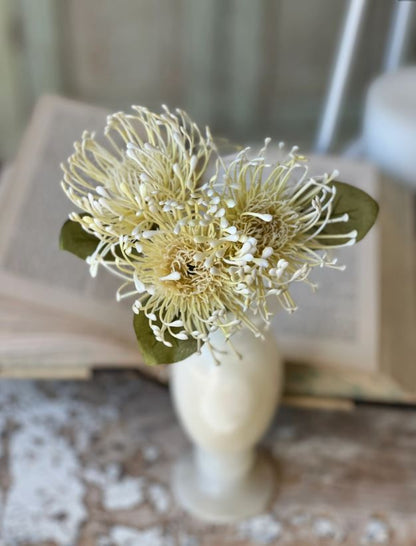 Cream Proteas Floral