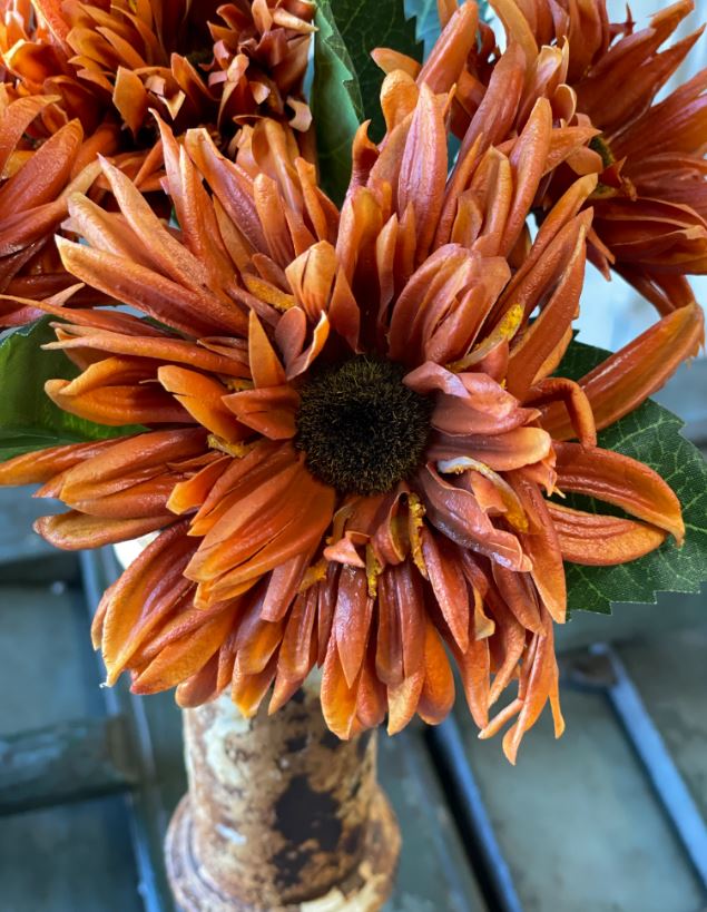 Rust spider mum bouquet tied with raffia