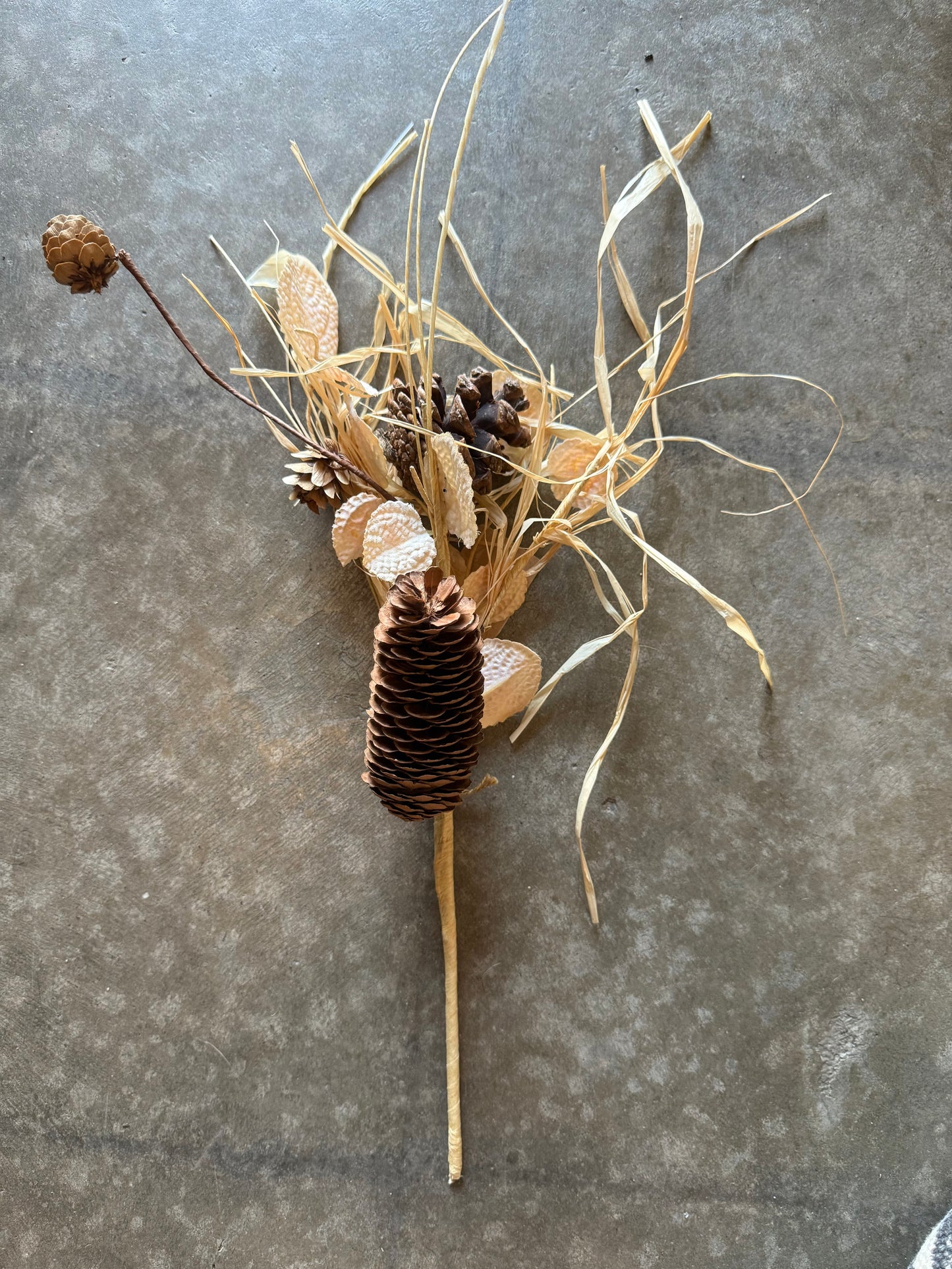 dried stem with grass and pinecones 