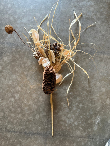 dried stem with grass and pinecones 