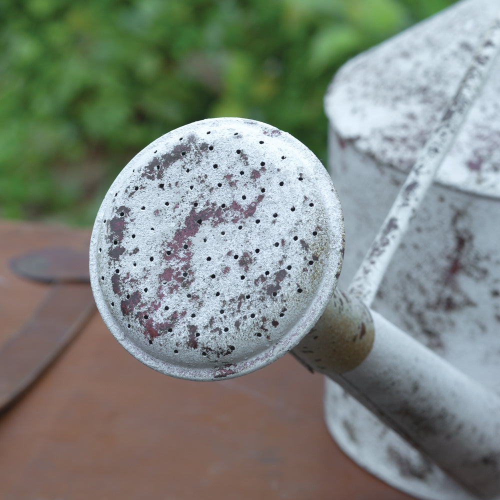 Vintage Style Watering Can