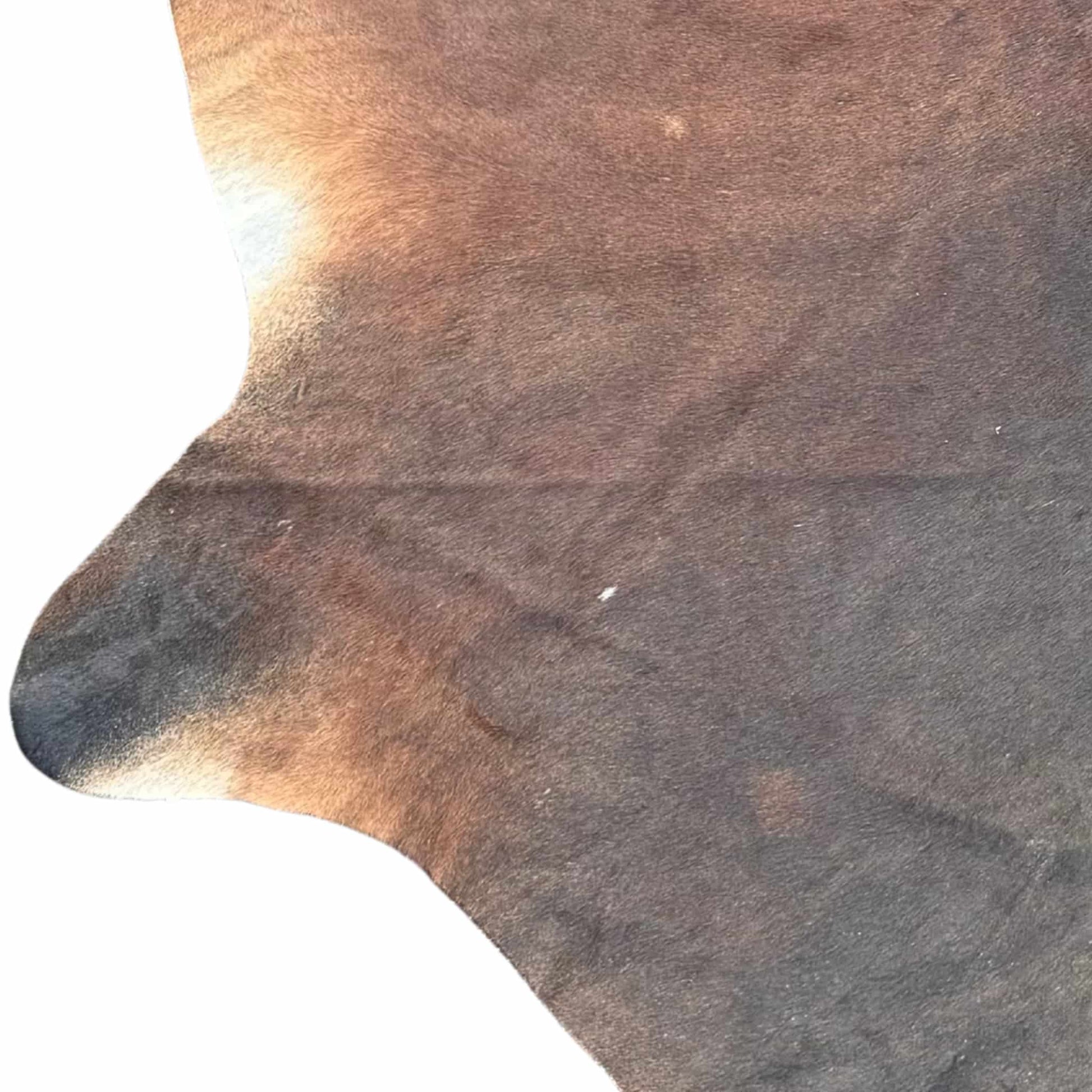 Close-up of a brown cowhide rug with a white background