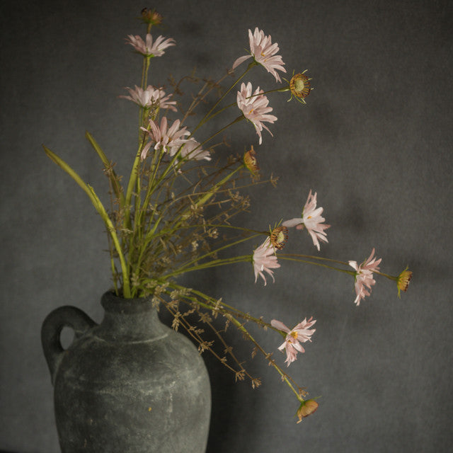 wildflower for spring